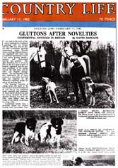 Link to Article: Gluttons After Novelties - Country Life Feb 1982