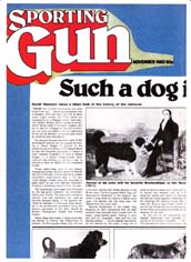 Link to Article:History of the Retriever - Sporting Gun November 1982